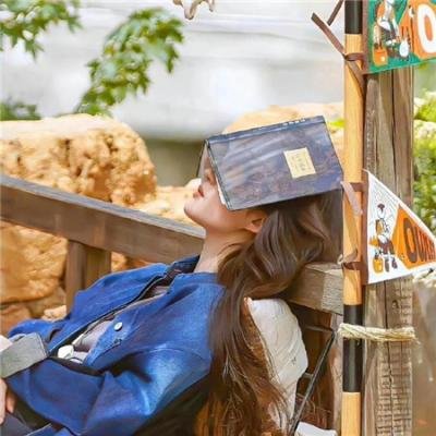 宝可梦：超梦的逆袭进化 封面
